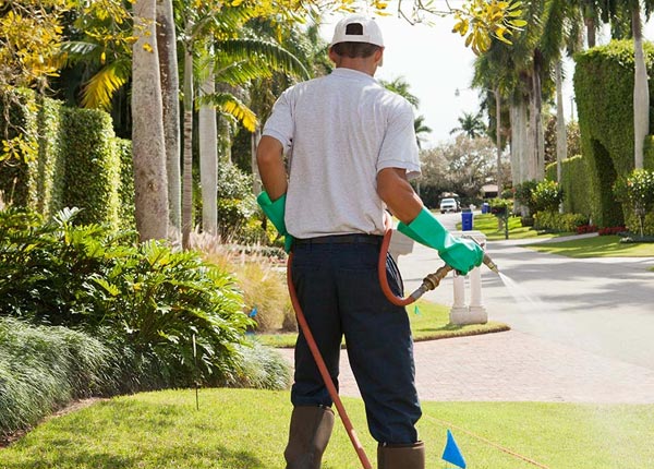 About Castleberry AL Pest Control